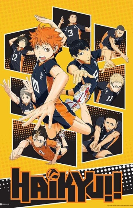 Haikyu!! (Color) Cover Image