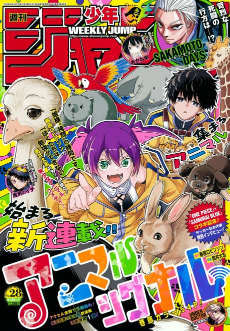 Animal Signal Cover Image